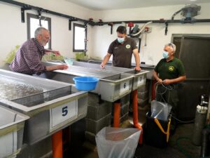 Incubatoio Vezza d'Oglio