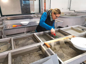 Incubatoio Regionale Desenzano